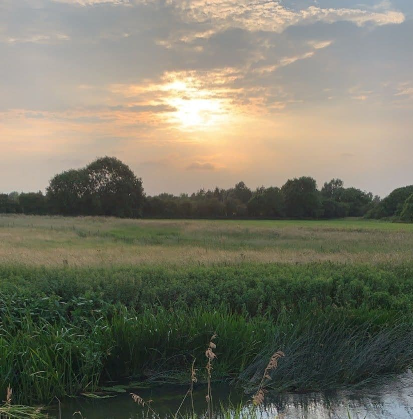 Mental Health Awareness Week